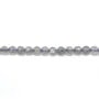 Labradorite Ronde Facette 3mm x 20pcs