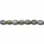 Labradorite Ovale 6x8mm x 40cm