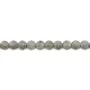 Labradorite faceted flat round 8mm x 4pcs 