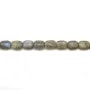 Labradorite Rectangle 8x12mm x 40cm