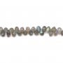 Labradorite grise, en forme de briolette facetté, 5.5 * 8.5mm x 40cm