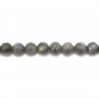 Labradorite Faceted Round 10mm x 2pcs
