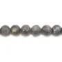 Labradorite Faceted Round 12mm x 40cm