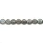 Labradorite Ronde Plate 10mm x  4pcs