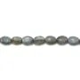 Labradorite Oval 8x10mm x 40cm