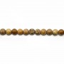 Jaspe paysage ronde 4mm x 40cm