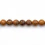 Jaspe peau d'éléphant ronde 8mm x 40cm