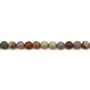 Polychrome jasper mat round 10mm x 5pcs 