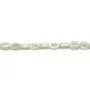 Nacre blanche en oval creux 4x6mm x 12pcs