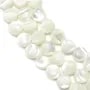 Nacre blanche en rond plat sur fil 6mm x 40cm
