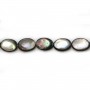 Nacre grise en oval bombé sur fil 15x20mm x 40cm