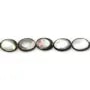 Nacre grise en forme d'oval bombé 15x20mm x 2pcs