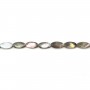 Nacre grise en ovale facetté sur fil 8x16mm x 40cm