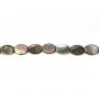Nacre grise de forme ovale 10x14mm x 10 pcs