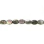 Nacre grise de forme ovale sur fil 10x14mm x 40cm