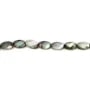 Nacre grise en forme d'oval facetté 6x10mm x 6 pcs
