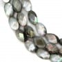 Nacre grise en oval facetté sur fil 6x10mm x 40cm