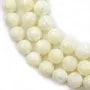 White mother-of-pearl round beads on thread 12mm x 40cm