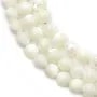 Nacre blanche en boule sur fil 6mm x 40cm