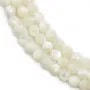 Nacre blanche en ronds facettés sur fil 4mm x 40cm