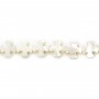 Nacre blanche en forme de croix 8mm x 4 pcs