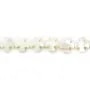 Nacre blanche en forme de croix sur fil 8mm x 40cm