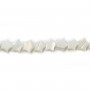 Nacre Blanche en Forme d'Etoile 6mm x 10 st