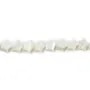 Nacre blanche en forme d'étoile sur fil 8mm x 40cm