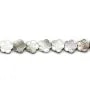 Nacre d'abalone en forme de fleur sur fil 18mm x 40cm