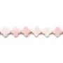 Lambi trèfle 11.5mm x 40cm