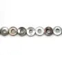 Nacre grise Donut 10mm x40cm