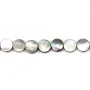 Nacre grise en rond plat sur fil 10mm x 40cm