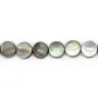 Nacre grise de forme ronde et plate 12mm x 10 st