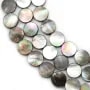 Nacre grise en rond plat sur fil 12mm x 40cm