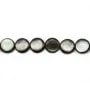 Nacre grise en ronds bombés sur fil 13mm x 40cm