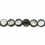 Nacre grise en ronds bombés sur fil 10mm x 40cm