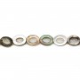 Nacre grise en oval évidé 6x8mm x 10 pcs