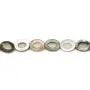 Gray mother-of-pearl hollowed oval beads on thread 6x8mm x 40cm