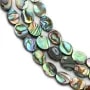 Nacre d'ormeau en oval sur fil 6x8mm x 40cm