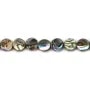 Nacre d'ormeau en rond plat sur fil 6mm x 40cm