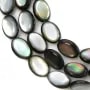 Nacre grise en oval bombé sur fil 12x16mm x 40cm