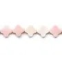 Lambi trèfle 13.5mm x 40cm