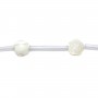 Nacre blanche en forme de rose sur fil 8mm x 40cm