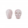 Cornaline Ovale Facette 8x12mm x 40cm