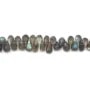 Labradorite goutte ronde facette 