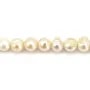 Perles de culture d'eau douce, blanche, ovale/irrégulière, 7-9mm x 40cm