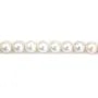 Perle de culture d'eau douce, blanche, ronde, 9.5-10mm x 40cm