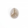 Cabochon agate du boswana, de forme ovale, 6x8mmx 4pcs