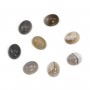 Cabochon agate du boswana, de forme ovale, 6x8mmx 4pcs
