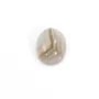 Cabochon agate du boswana, de forme ovale, 7x9mm x 4pcs